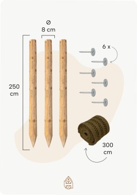 Baumpfahl-Set 250x8 cm Baumpfahl-Set - 250x8 cm
