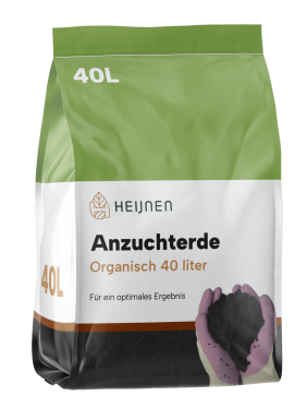 Rotbuche Fagus Sylvatica Hecke 125-150 Wurzel