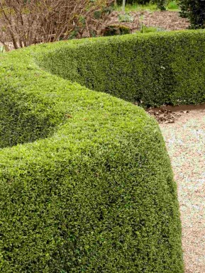 Kein Bild verfügbar