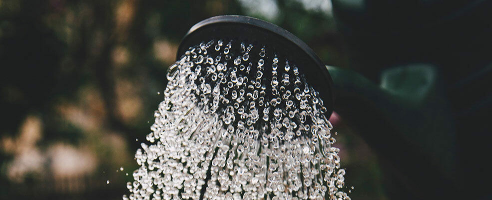 TIPPS: Wie oft gießen Sie neue Pflanzen und wie viel Wasser ist genug?