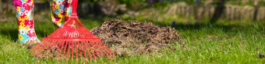 So nutzen Sie Herbstlaub clever als natürlichen Schutz für Ihren Garten image