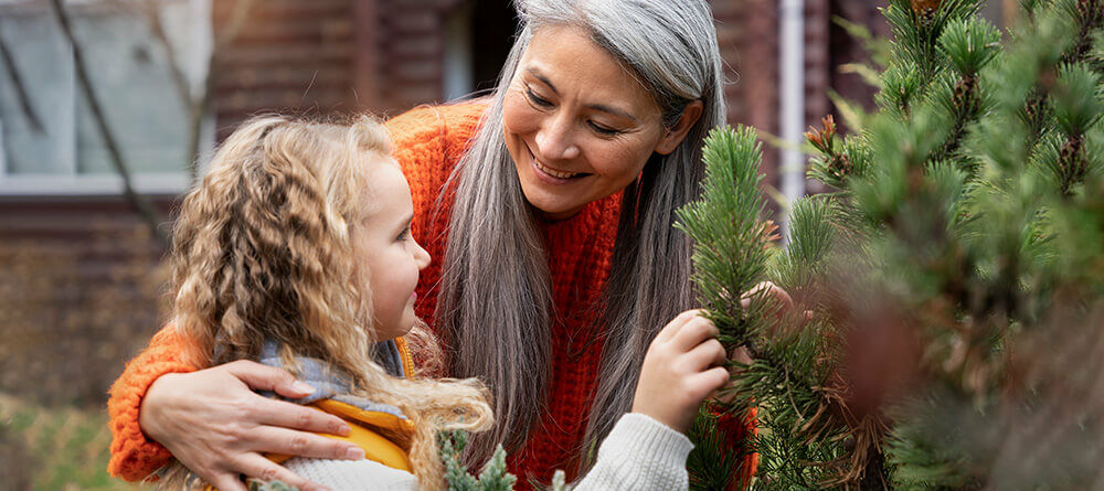 Schenken Sie Ihrem Weihnachtsbaum ein zweites Leben