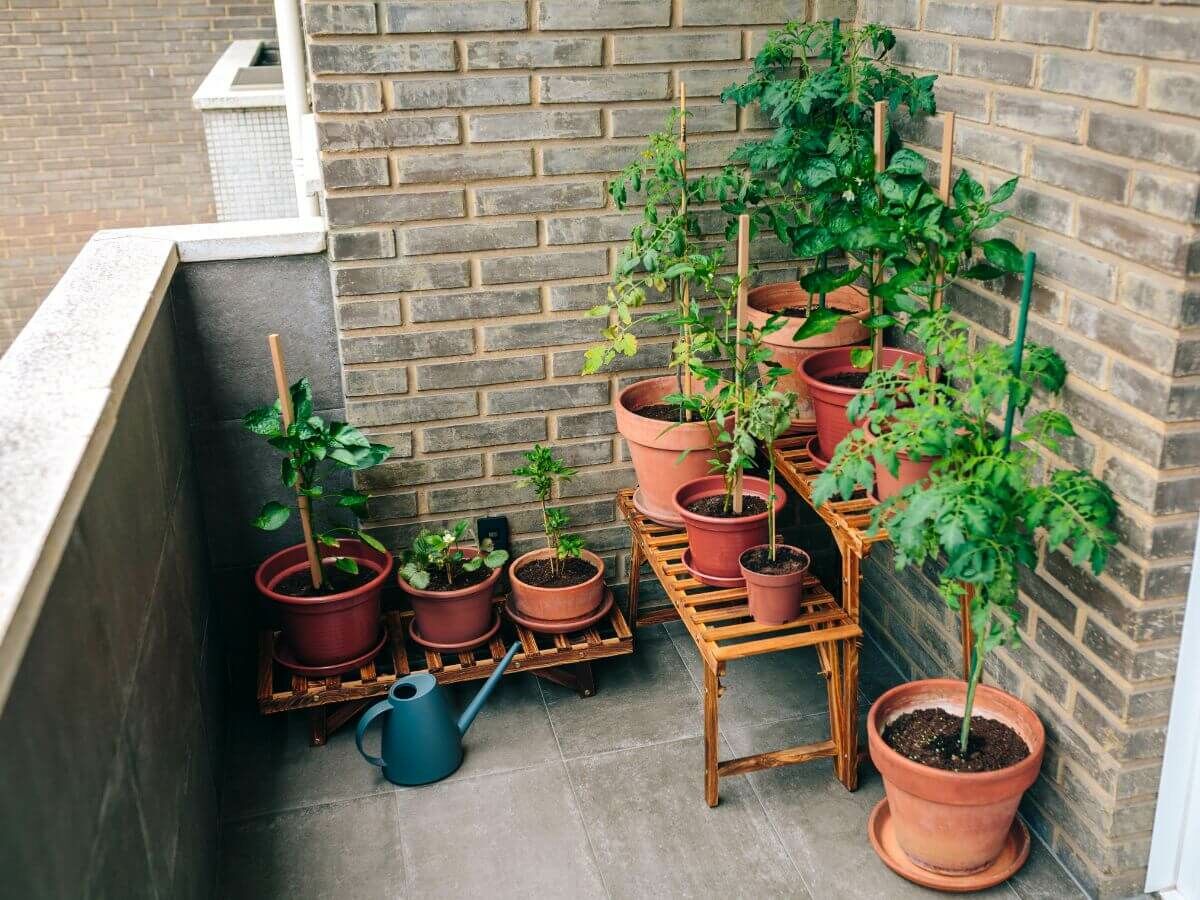 So schützen Sie Ihre Gartenpflanzen vor Frost – ganz ohne Plastik oder Vlies image