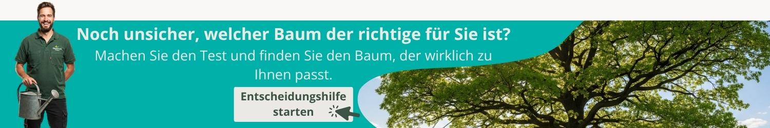 Entscheidungshilfe