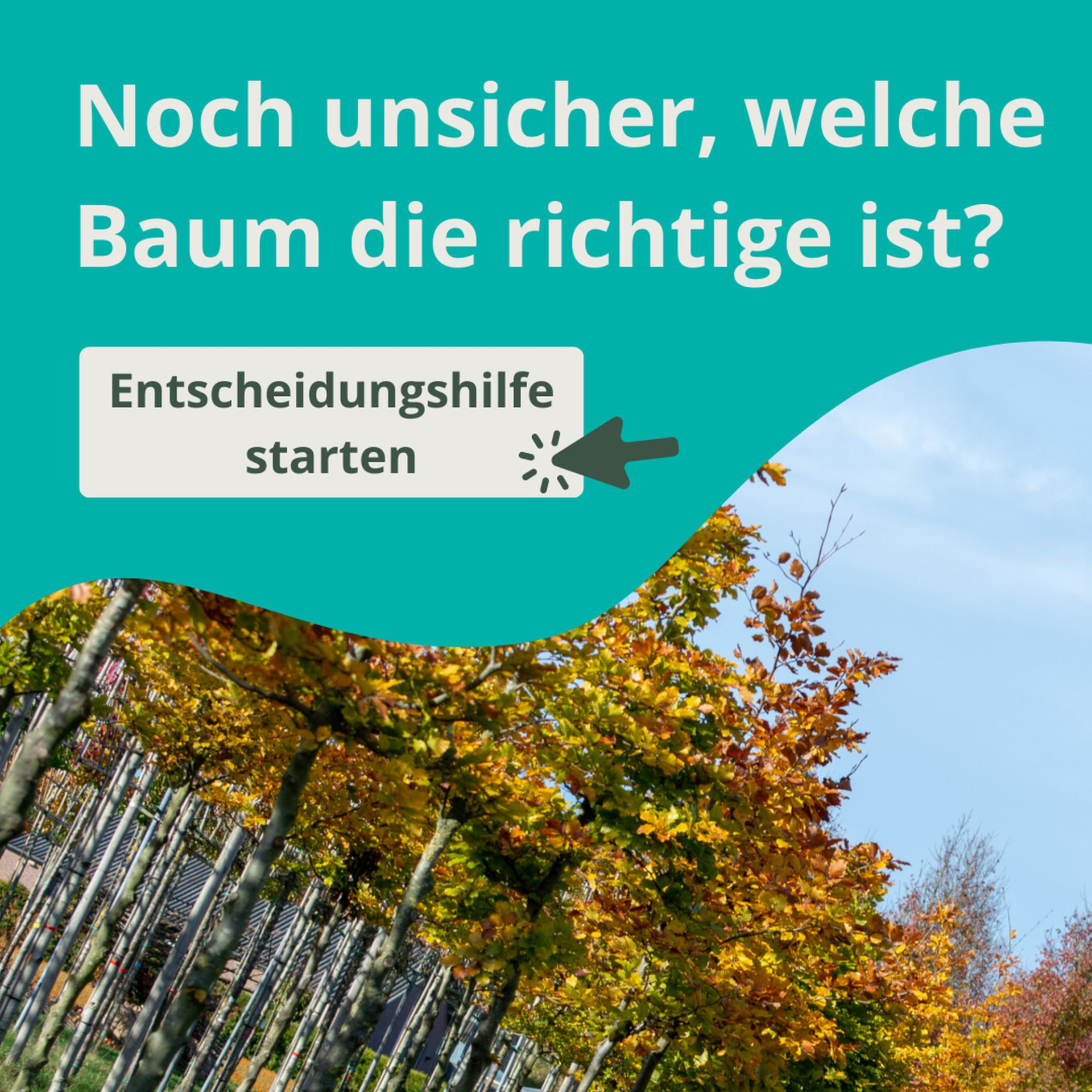 Keuzehulp