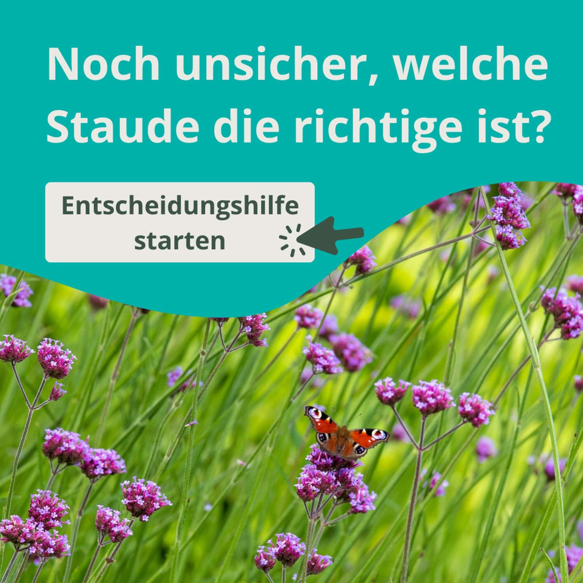 Keuzehulp