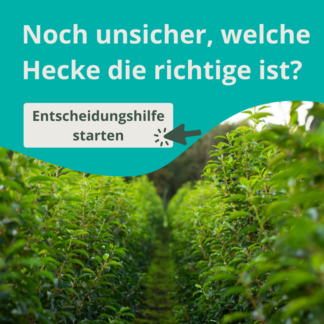 Keuzehulp